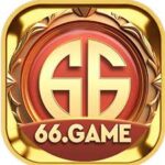 66 Game